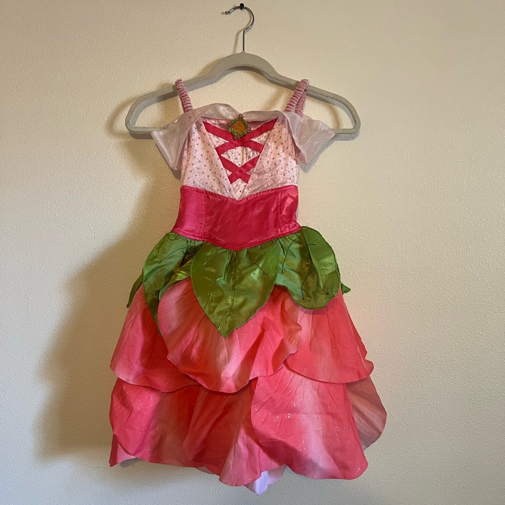 Disney Princess Aurora Dress - Small